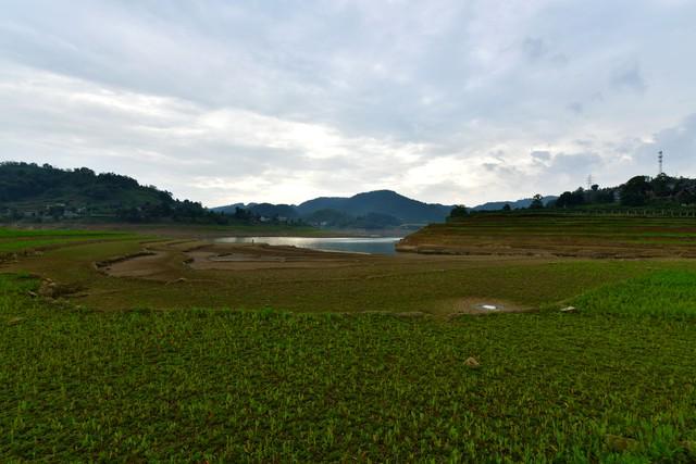 棉；芒种在尾热死老牛”今年哪？不朽情缘手机版“芒种在头六月穿