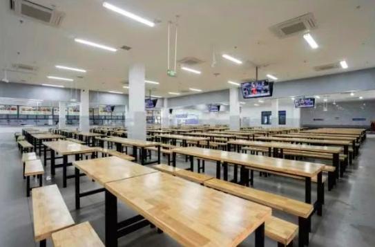 第十六高级中学2025年招生简章mg不朽情缘游戏网站登录郑州市(图5)